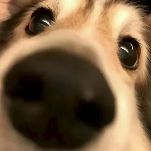 备忘录里续写情诗的钢琴谱