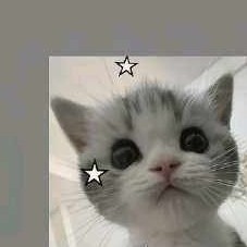 梶梶控的钢琴谱