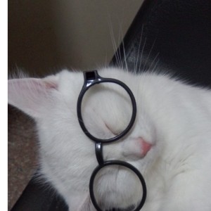 愿与愁的钢琴谱