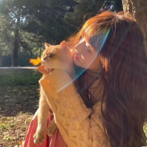 等凌晨日出.的钢琴谱