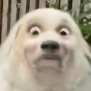 177****3398的钢琴谱