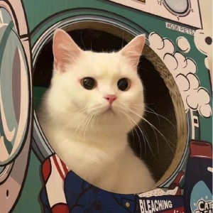 影子的个人空间