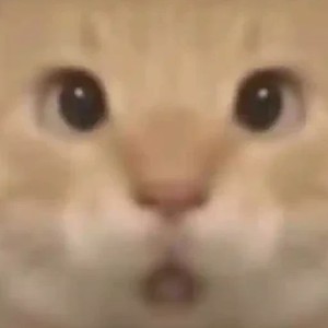 [白](∩_∩)的钢琴谱