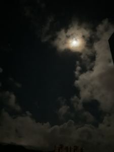 139****5858的钢琴谱