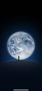 181****2446的个人空间