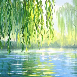 雾语的个人空间