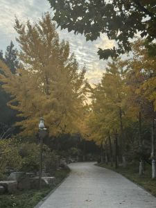 刘*烨的个人空间