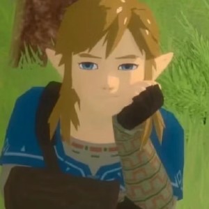 傲骄鸟的钢琴谱