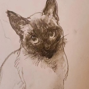 臭猫追猎神的钢琴谱