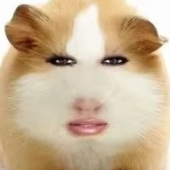 阿巴阿巴的钢琴谱