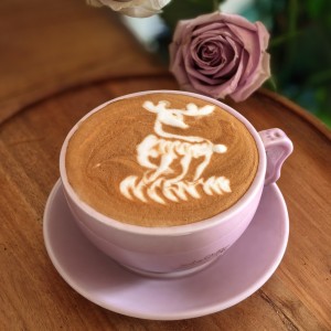 Croatian Rhapsody的演奏视频