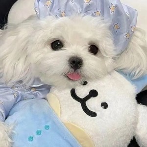 童小婷的钢琴谱