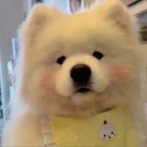 沐沐[念之.语](淡网)的钢琴谱