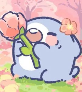 花花的个人空间