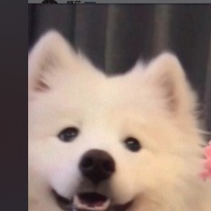 雾榆.鸢婉的钢琴谱