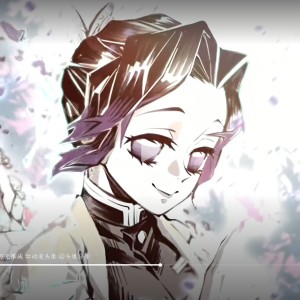 蝴蝶忍的个人空间