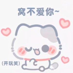 花之舞的演奏视频