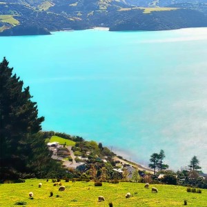 一只小猪乐呵呵的钢琴谱