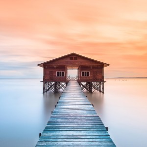 君をのせて的演奏视频