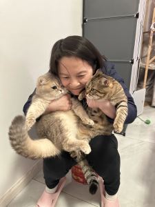 nightdrizzle的钢琴谱