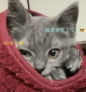 OREO~(0-0)的个人空间