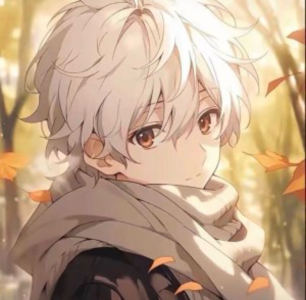 追风少年（哈迷）的钢琴谱