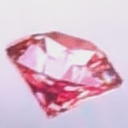 归栖_sylus的小狗的钢琴谱