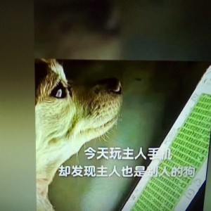 婉韵怡念的钢琴谱