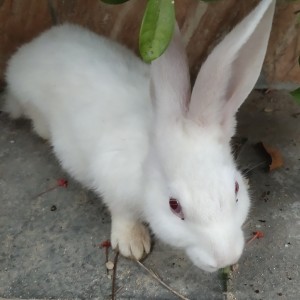 A Little Story的演奏视频