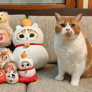 源 英明的钢琴谱