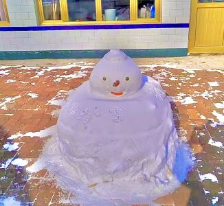 万蝶振翅的演奏视频