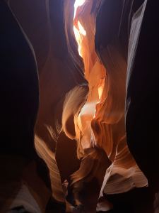 151****8830的钢琴谱