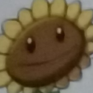 车尔尼599 No.51的演奏视频