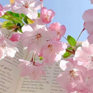 [鬼灭]恋柱X弥豆子的钢琴谱