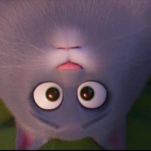 小绿蛋的钢琴谱