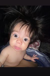 头头头头头的钢琴谱