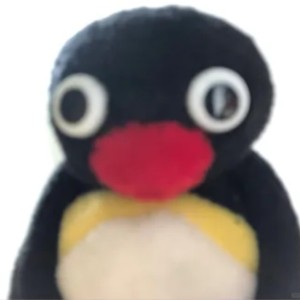 毛毛的个人空间