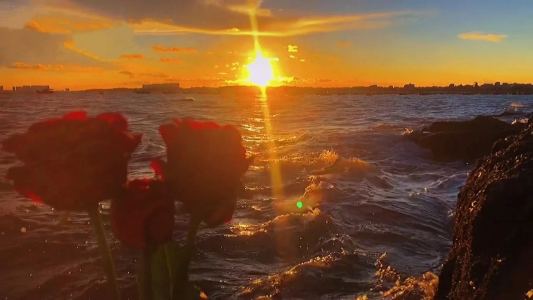 AT_Slytherin的个人空间