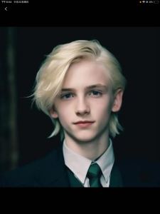 斯莱特林的钢琴谱