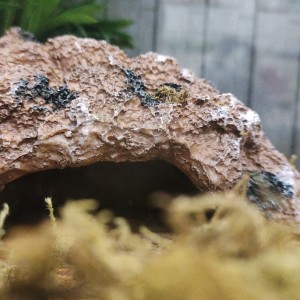 158****2665的钢琴谱