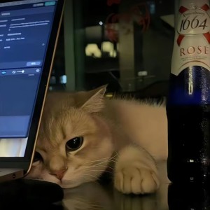 初遇/...的钢琴谱