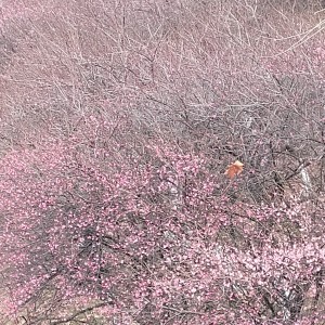 181****7989的钢琴谱