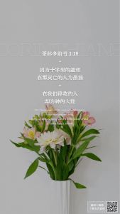 格桑花开～重庆的钢琴谱