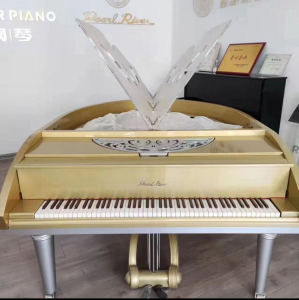 188****1667的钢琴谱