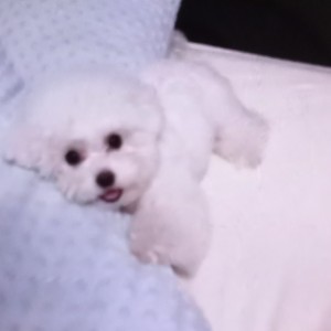 158****7808的钢琴谱