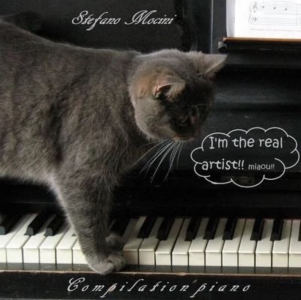 菊次郎的夏天的演奏视频