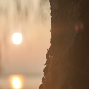 李宁Cce权威的钢琴谱