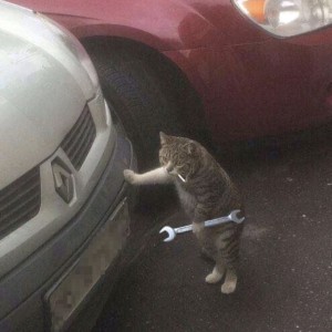 在下唐某人（开学退）的个人空间