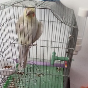 忘本孤勇(星空)的个人空间