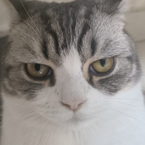 我推世界第四的个人空间